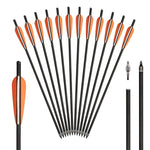 Carbon Crossbow Arrows